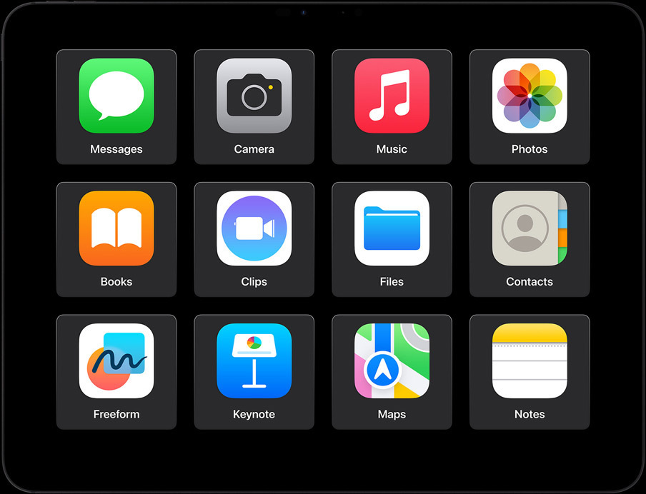 Querformat, iPad Pro, die Benutzerin macht einen FaceTime Anruf, mit einem Eingabefeld für «Getipptes sprechen»