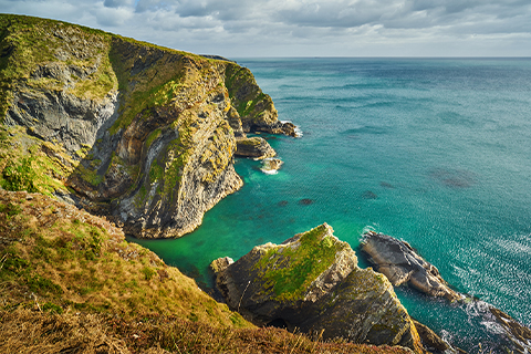 Krajobraz przedstawiający malownicze wybrzeże Cork w Irlandii.