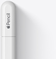 Górna część Apple Pencil USB-C, widać zaokrąglony koniec, logo Apple oraz wyraz Pencil. W górnej części widoczna jest linia wskazująca miejsce, w którym po zsunięciu nasadki można podłączyć przewód USC‑C.