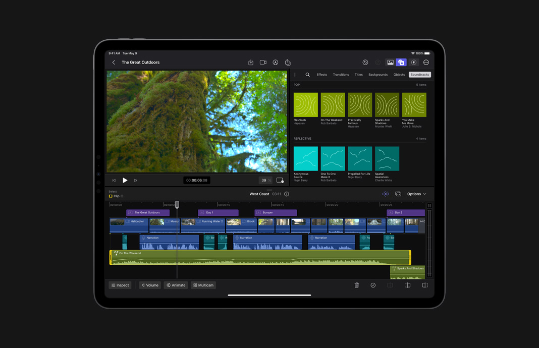 Close da timeline de áudio no Final Cut Pro para iPad no iPad Pro.