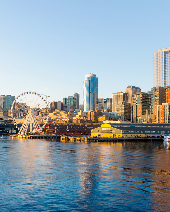 Bir dönme dolap da içeren Seattle limanı manzarası.