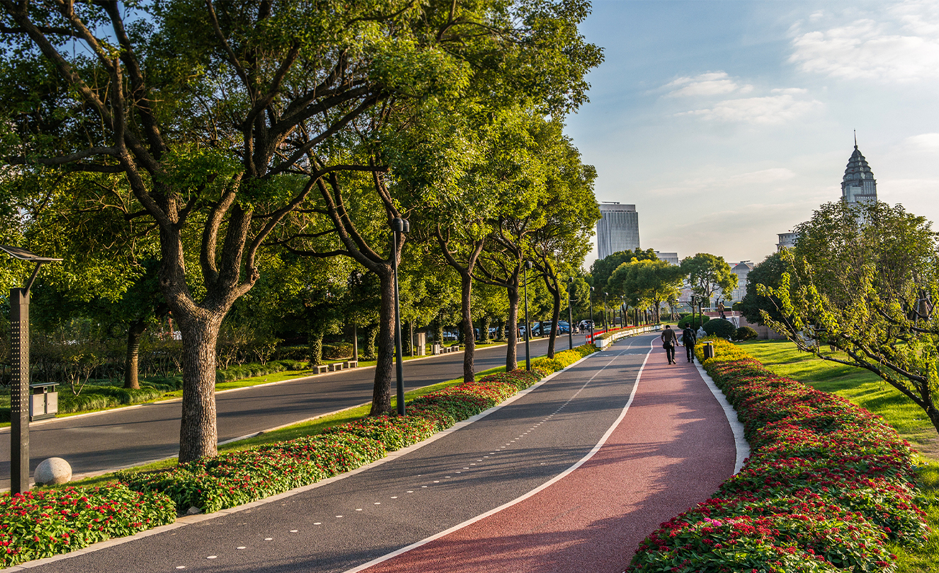 Położone w cieniu drzew ścieżka rowerowa i alejka w Szanghaju.