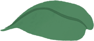 Im selben Porträt kommt ein illustriertes MacBook Air Gehäuse ins Bild, bei dem grüne Blätter aus dem Bildschirm wachsen.