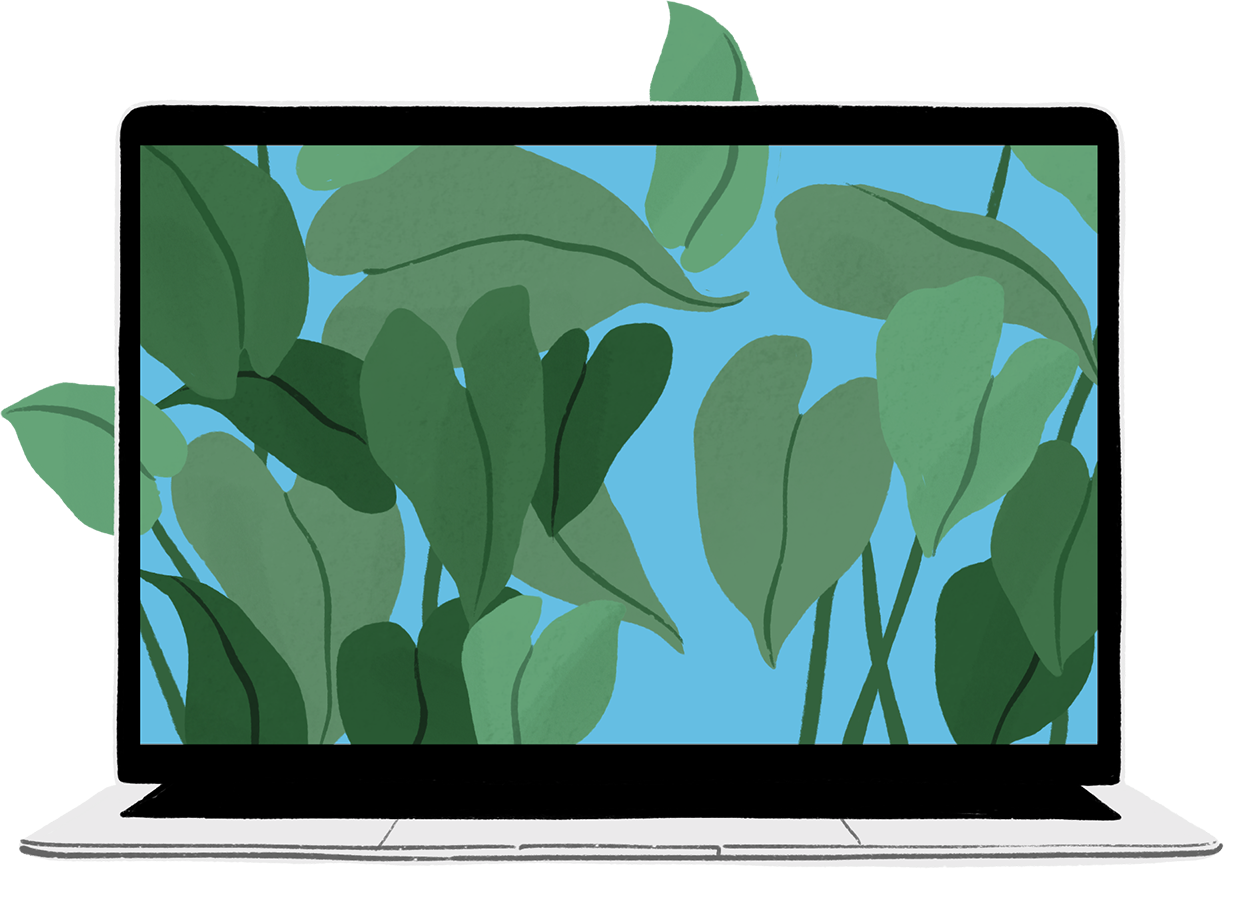 Er verschijnt ook een geïllustreerde MacBook Air-behuizing in beeld. Uit het scherm van de MacBook dwarrelen groene bladeren.