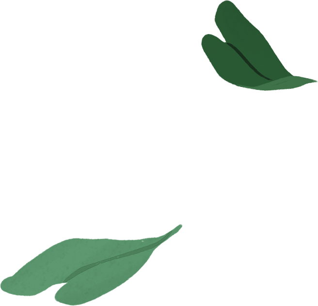 Im selben Porträt kommt ein illustriertes MacBook Air Gehäuse ins Bild, bei dem grüne Blätter aus dem Bildschirm wachsen.