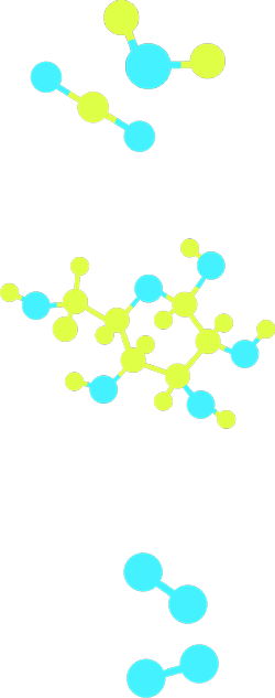  Pět modelů molekul: oxid uhličitý, voda, glukóza, a dvě molekuly kyslíku.