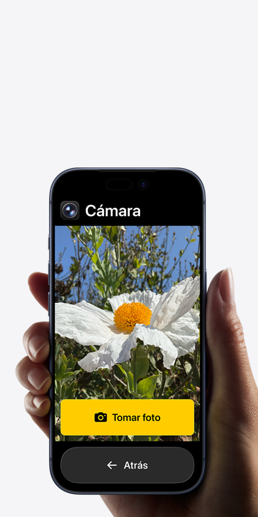 Pantalla de un iPhone 17 Pro que muestra una interfaz simplificada de la app Cámara con una flor blanca en el cuadro y los botones “Tomar Foto” y “Atrás” debajo