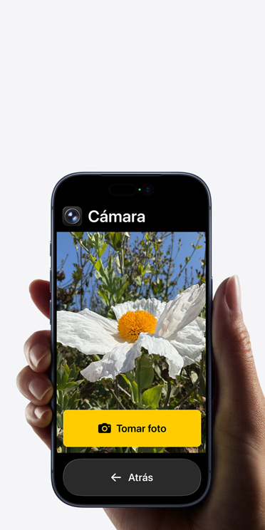 Pantalla de un iPhone 17 Pro que muestra la interfaz simplificada de la app Cámara con una flor blanca en el encuadre, el botón Hacer Foto y el botón Atrás