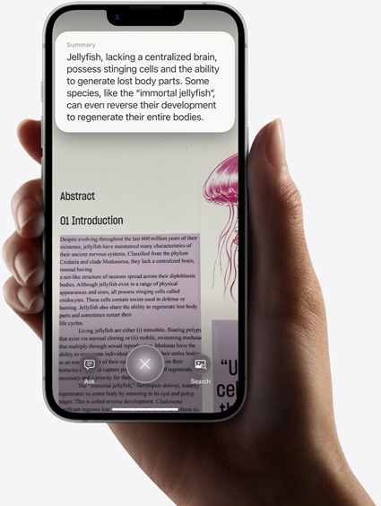 Mão a segurar o iPhone 16e que mostra resultados de uma pesquisa feita com a Inteligência visual.