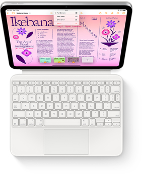 iPad Keyboards - Apple (IN)