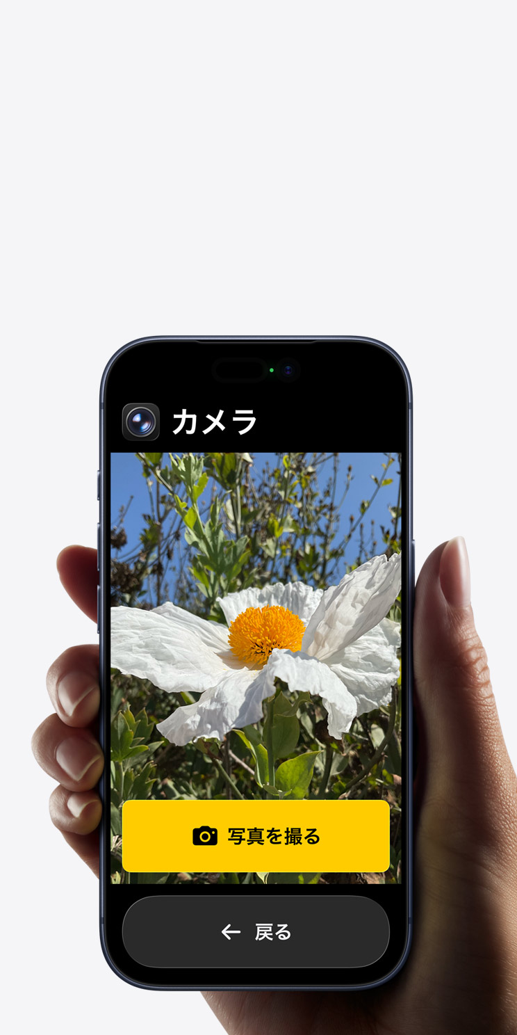 iPhone 17 Proの画面に表示されている簡略化されたカメラアプリのインターフェイス。フレームに入った白い花の下に「写真を撮る」ボタンと「戻る」ボタンが表示されている