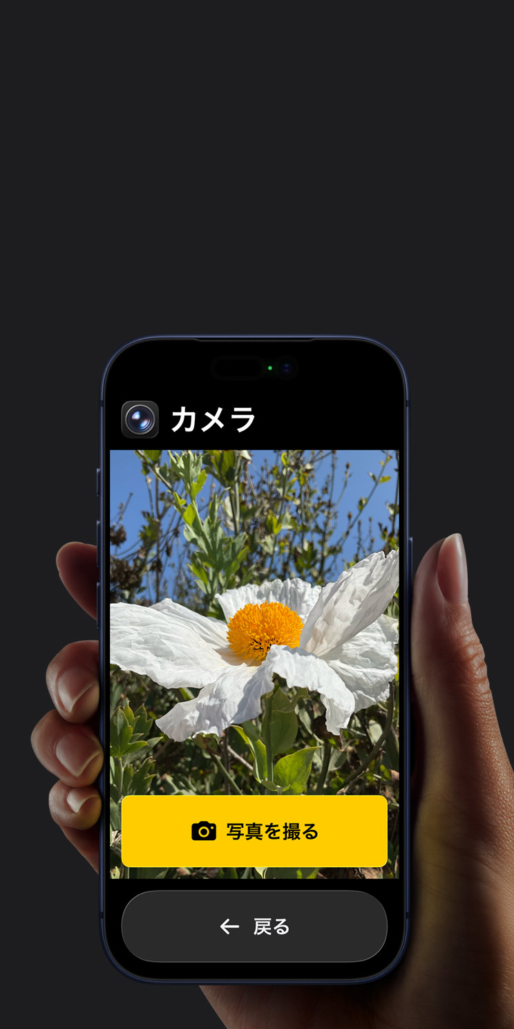 iPhone 17 Proの画面に表示されている簡略化されたカメラアプリのインターフェイス。フレームに入った白い花の下に「写真を撮る」ボタンと「戻る」ボタンが表示されている