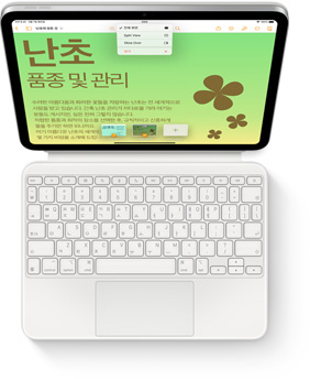 iPad를 부착한 화이트 색상 Magic Keyboard Folio를 위에서 내려다본 모습.