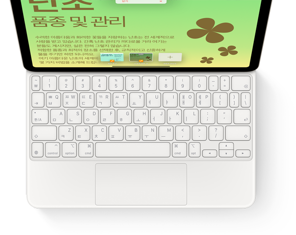 iPad Pro에 연결된 Magic Keyboard를 위에서 내려다본 모습.