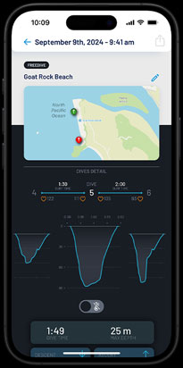 A summary of a dive profile.