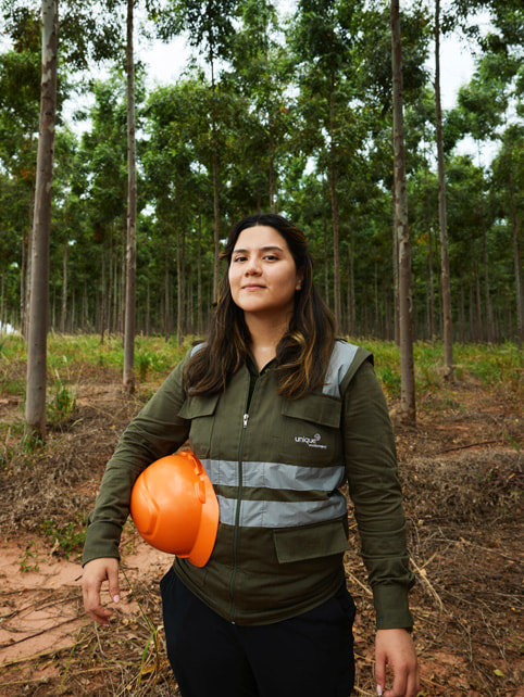 Apple's Restore Fund cultivates new roots in the Atlantic Forest - Apple