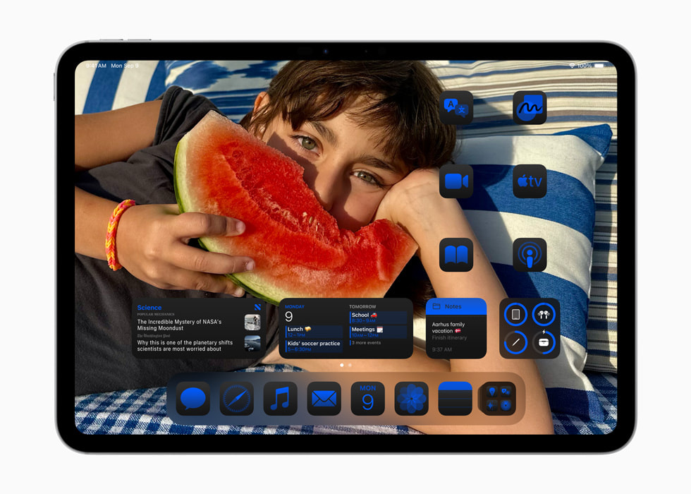 iPad Pro (11-inch) shows app icons on the Home Screen arranged around a photo and customised with a blue tint.