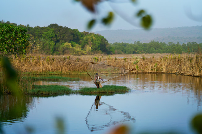 在印度馬哈拉施特拉邦，三人漂浮在兩旁有紅樹林的河流中，順流而下。