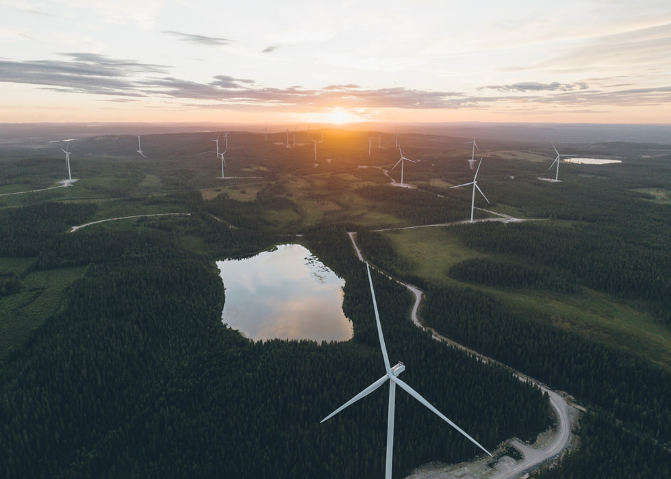 スウェーデンのシェレフテオにあるHolmen IggesundのBlåbergsliden風力発電所で、森林の中にたたずむ多数の風車。