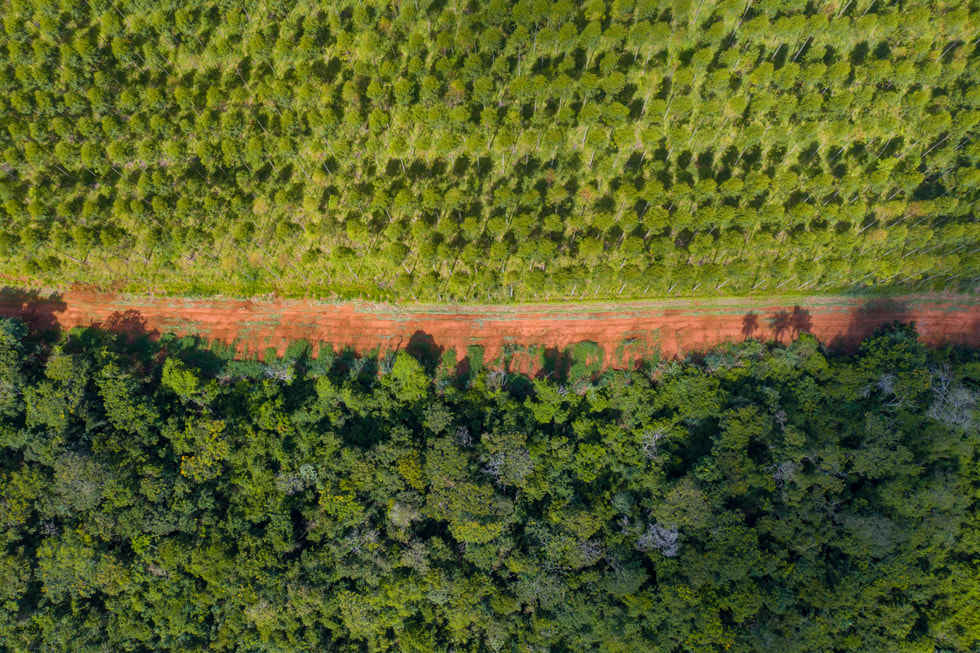 Vue aérienne d’un projet Restore Fund au Paraguay.