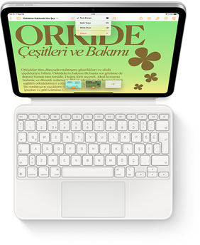 iPad ve beyaz renkte Magic Keyboard Folio’nun tepeden görünümü.