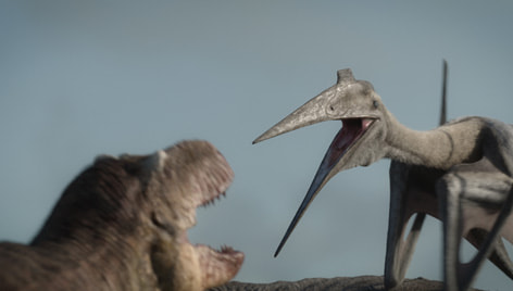 quetzalcoatlus vs t rex