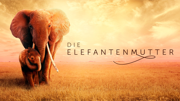 Die Elefantenmutter - Trailer und Videos - Apple TV+ Press (DE)