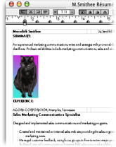 Resume with cat