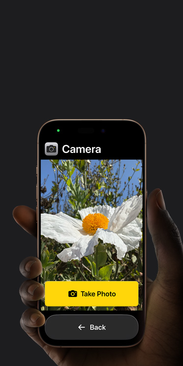 Layar iPhone 16e menampilkan antarmuka aplikasi Kamera yang disederhanakan dengan bunga putih di frame, tombol “Ambil Foto”, dan “tombol Kembali di bawah