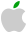 icon apple icon slmqt5n7irey large