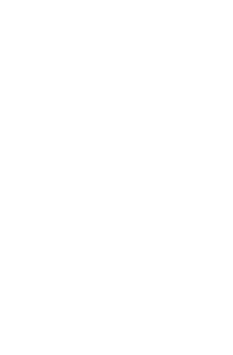 Apple Pay Apple